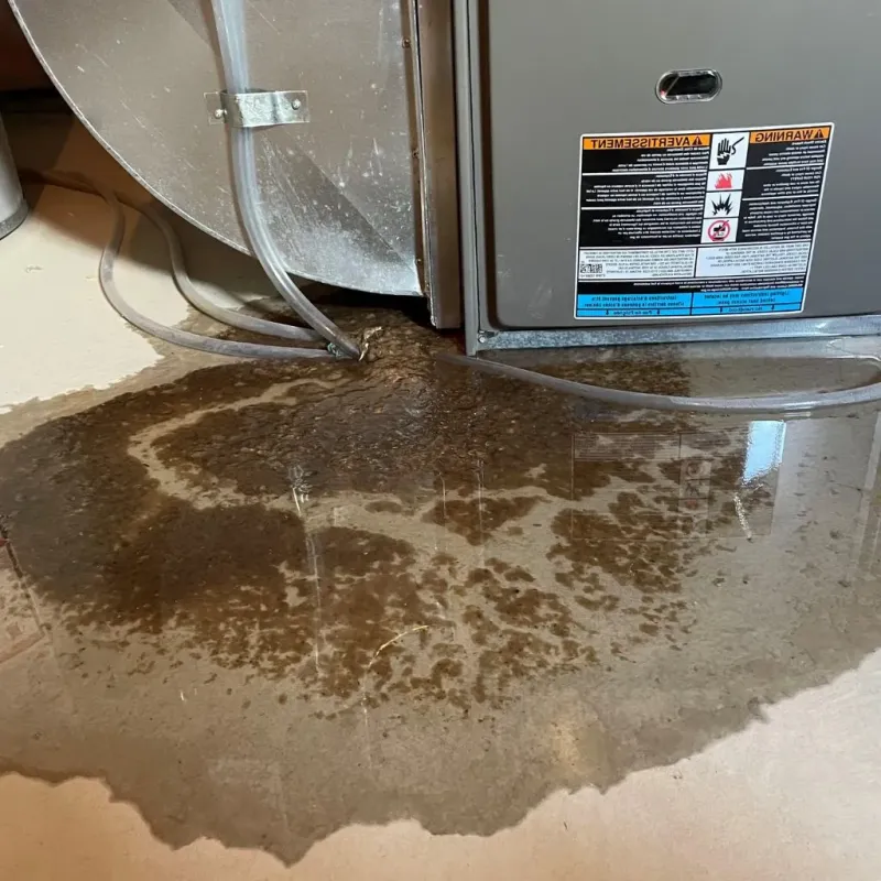 Pipe Burst and Leak Restoration in Bixby, OK